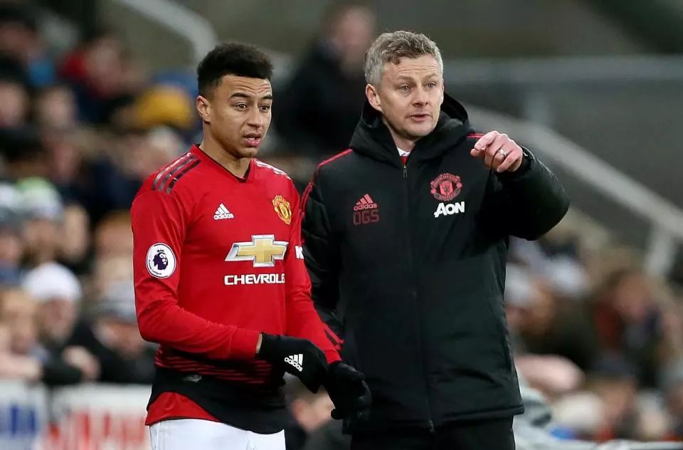 在篮球世界 在篮球世界