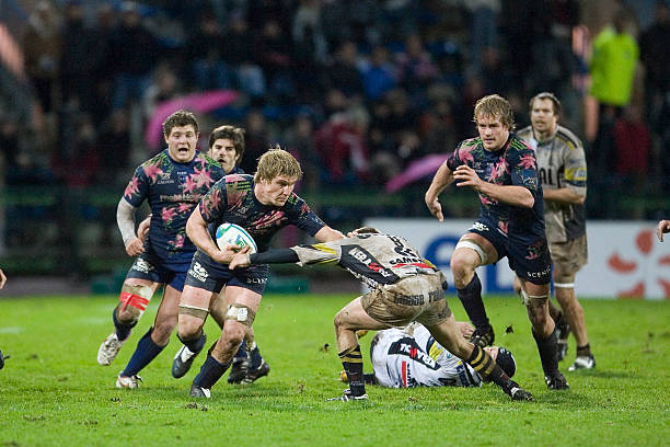 这一规则旨 这一规则旨