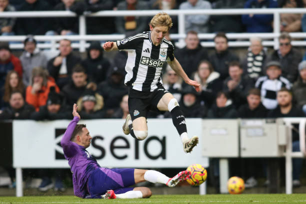 在足球世界 在足球世界