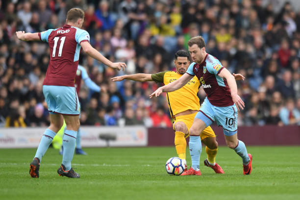 竞技场的新 竞技场的新